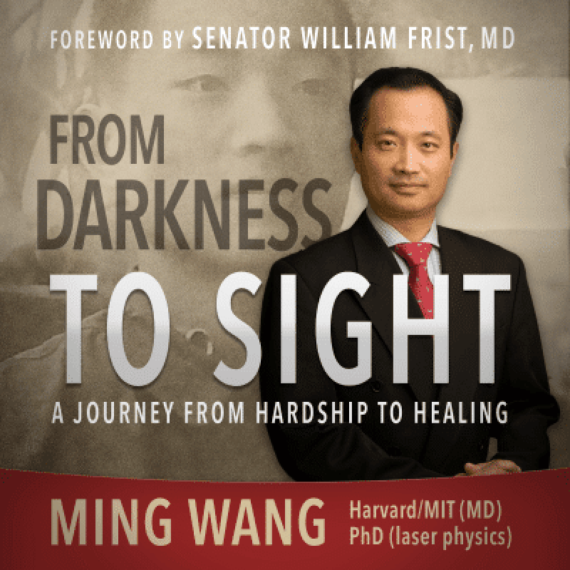 From Darkness to Sight by Ming Wang