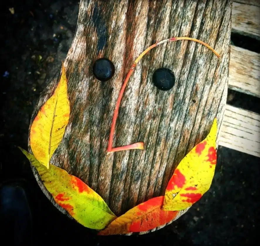 A smiley face made of sticks and leaves